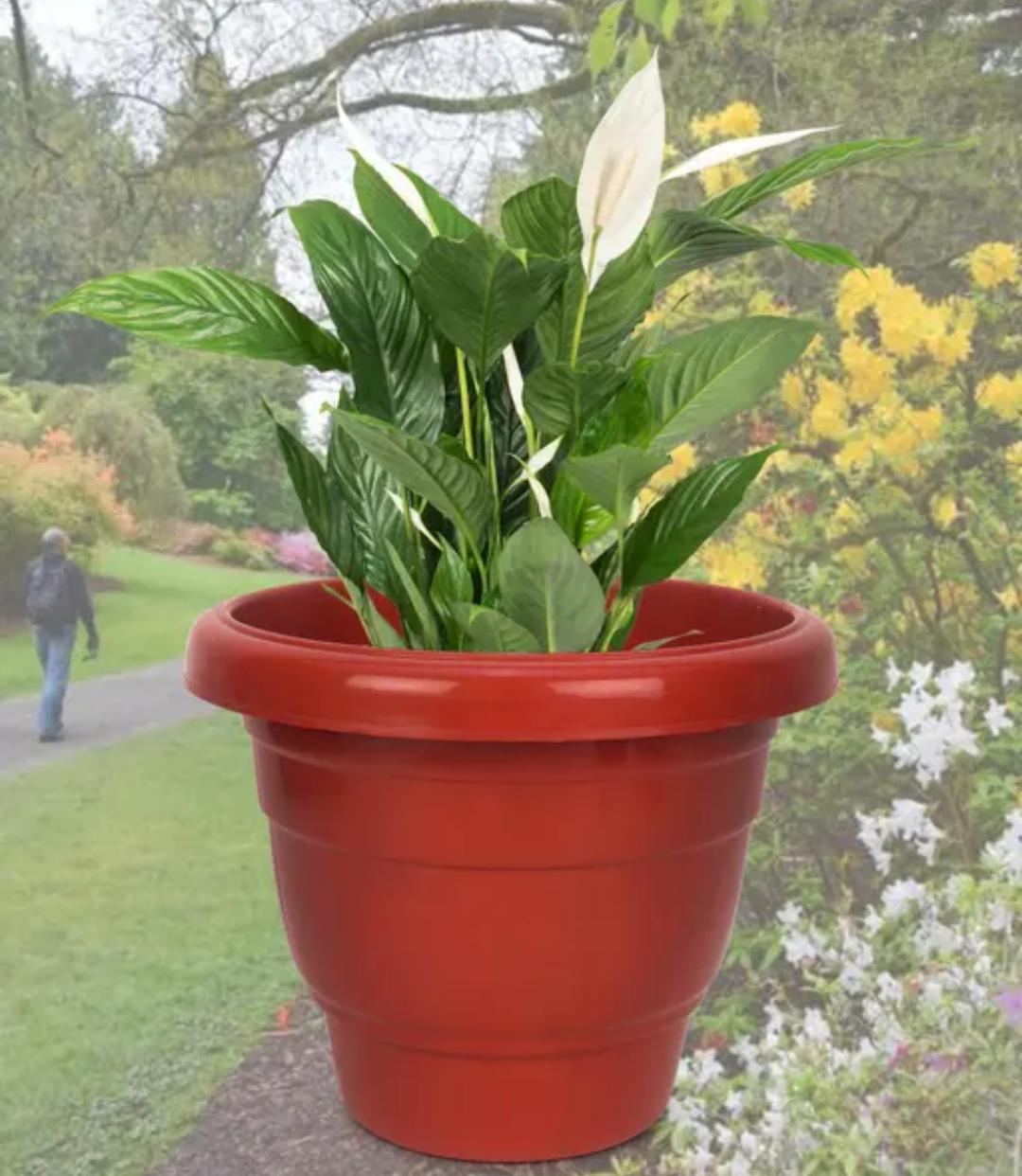 PLANT POT RED PLASTIC
